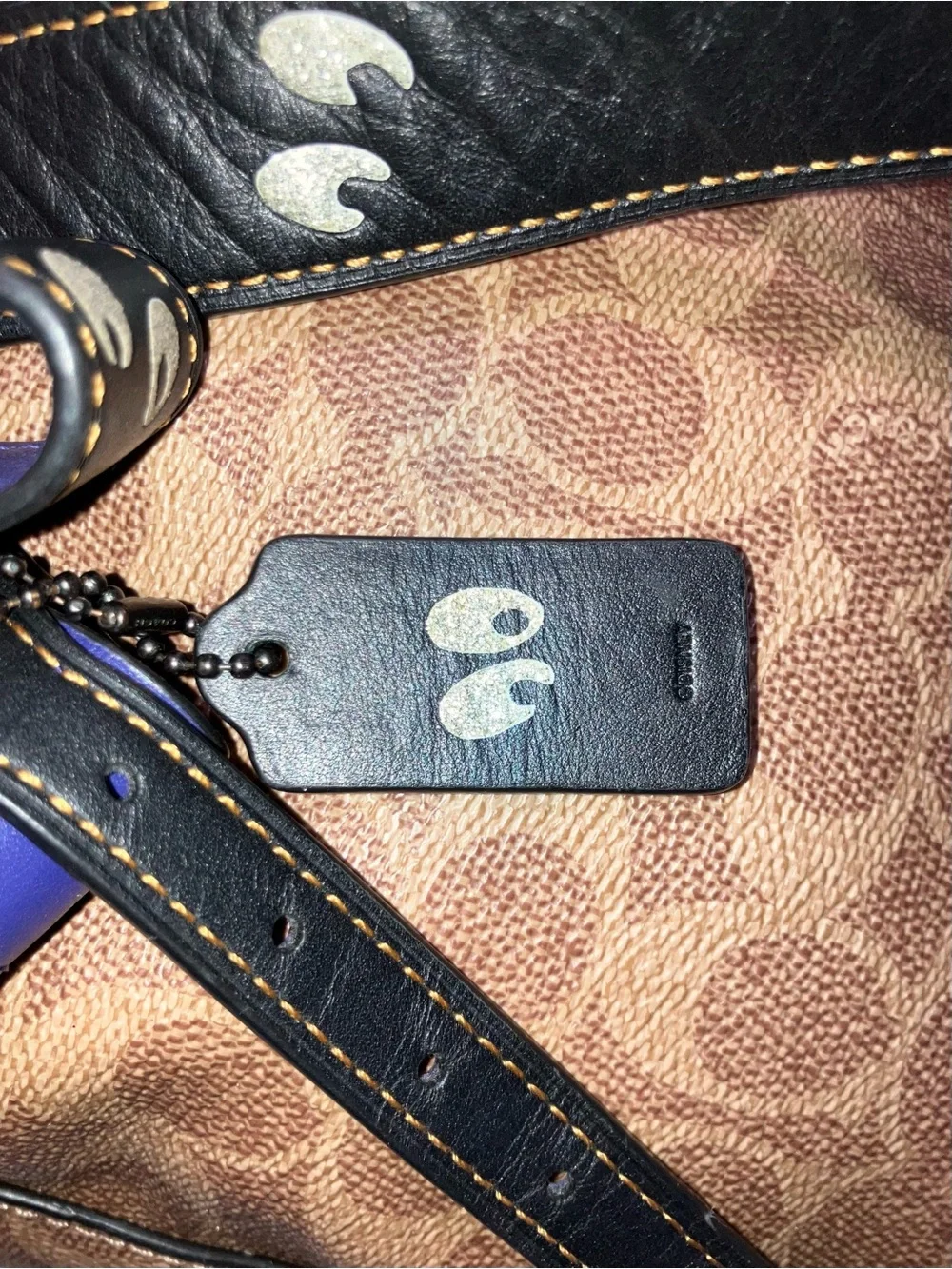 Coach disney limited